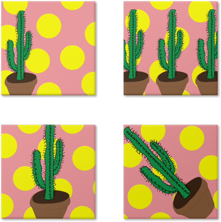 Magneto Cactus De Martha Portella Caldas Maximianona - Cactus (800x800), Png Download