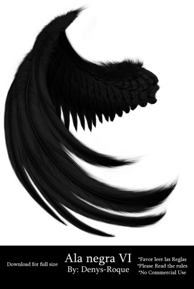 Ala Negra 6 Por Denys Roque Por Denysroquedesign Alas - Alas Negra (400x595), Png Download