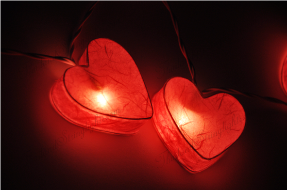 Paper Lantern (590x590), Png Download