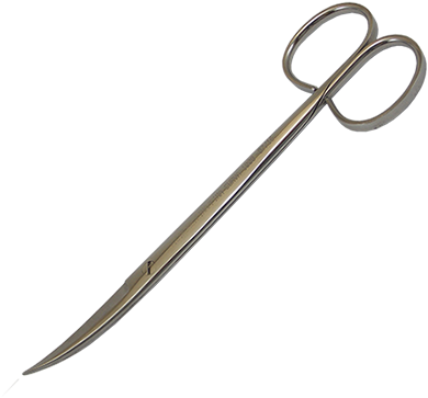 Tesoura Cirúrgica Fina/fina Curva - Surgery (500x500), Png Download