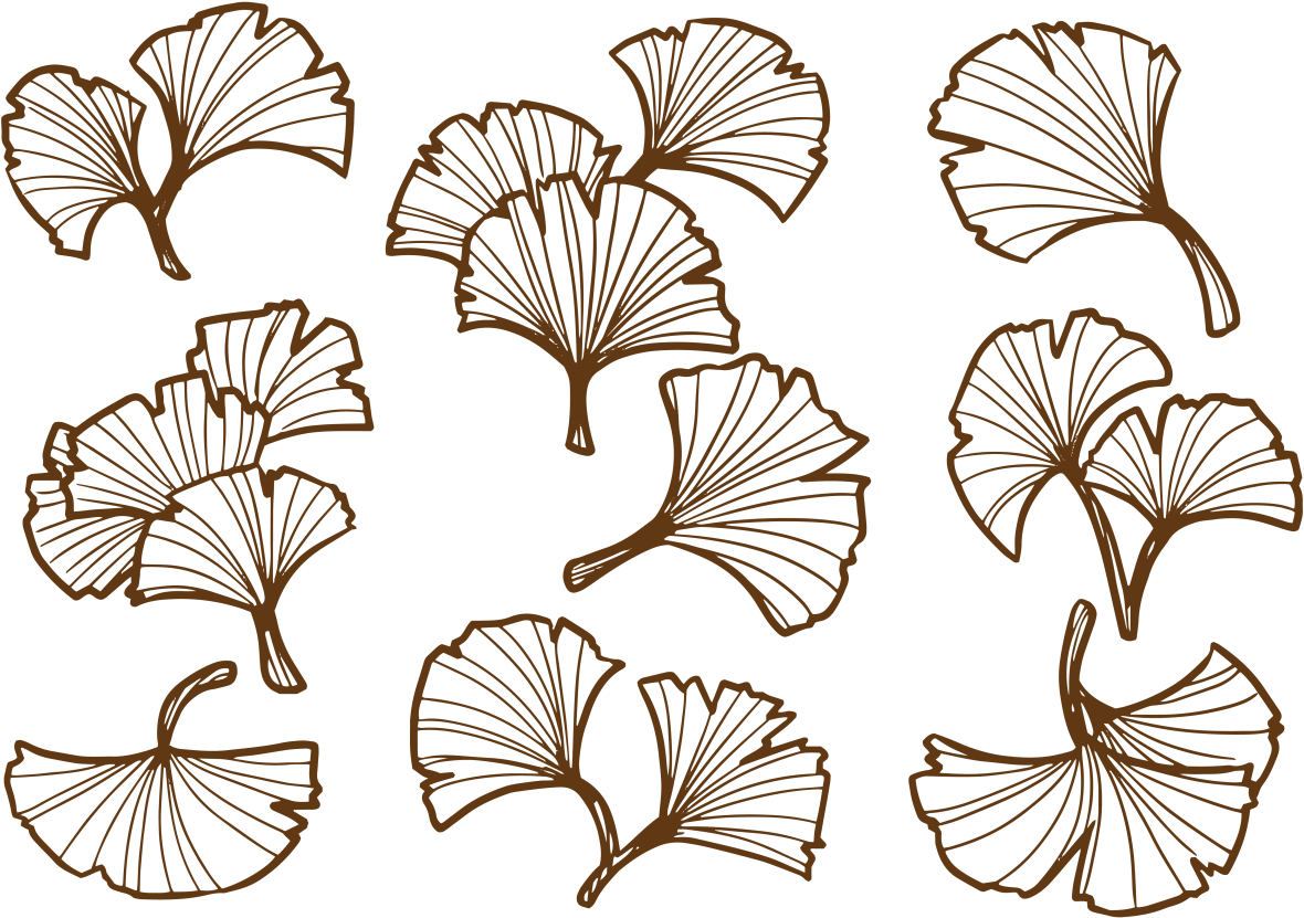 Download Ginkgo Leaf Transparent Background Png Png Image With No Background Pngkey Com