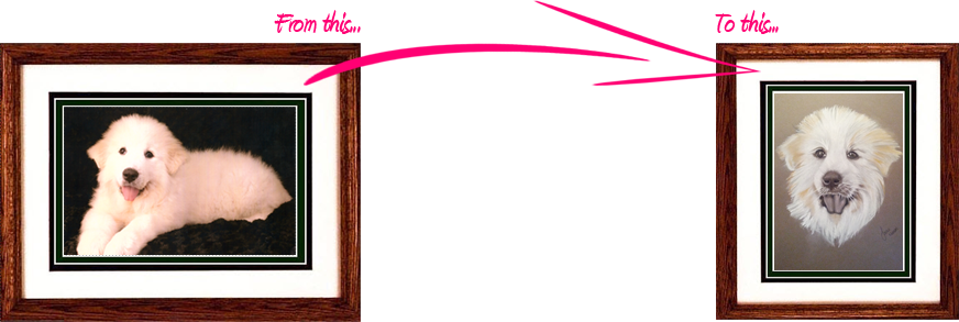 Pet Portraits, Hand Drawn By Jennie Ninnim - Picture Frame (872x293), Png Download