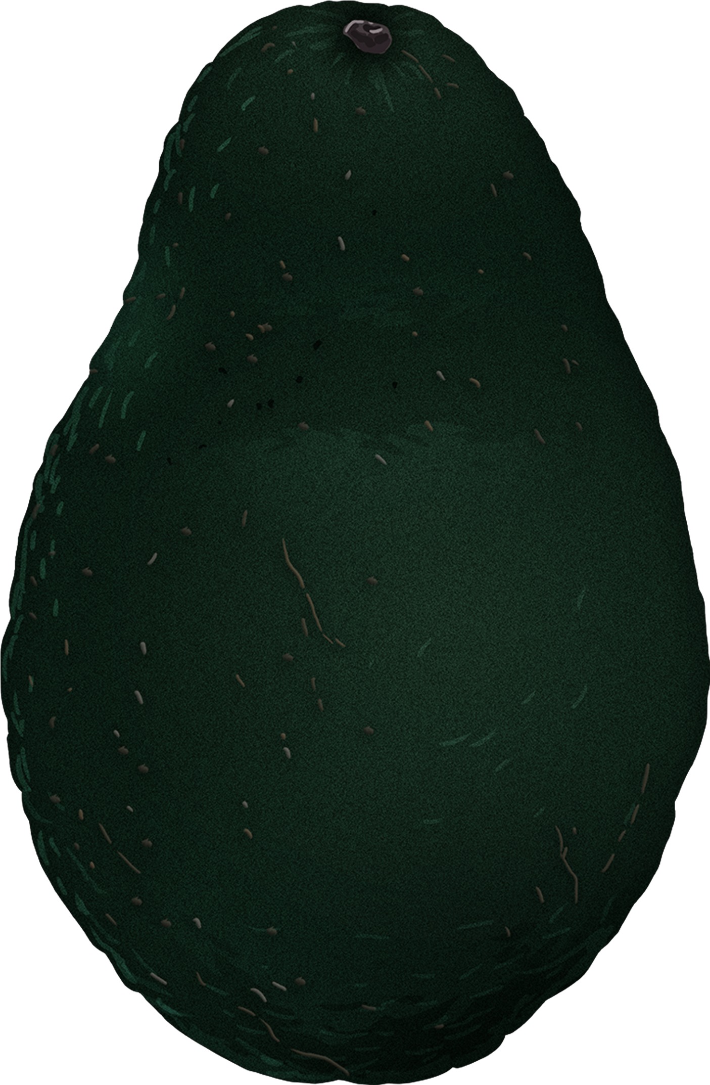 Both Vitamin B6 And Pantothenic Acid Help The Body - Baltic Clam (2043x3635), Png Download