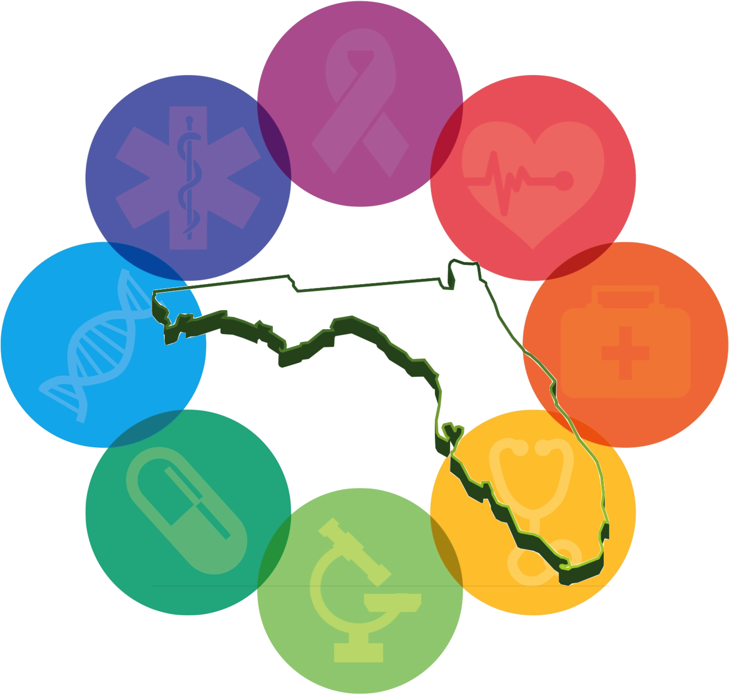 Florida Medical Circle - Medicine (2400x2400), Png Download