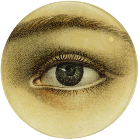 Eye - John Derian Eye (500x500), Png Download