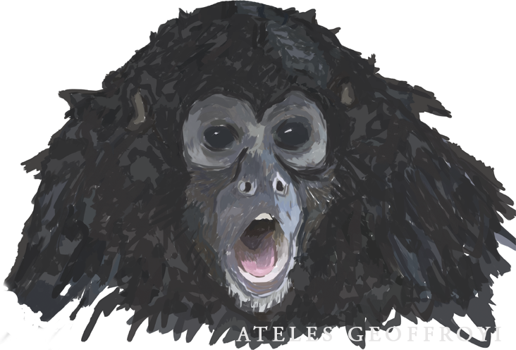 Viejo Verde - Hot - Bird (732x497), Png Download