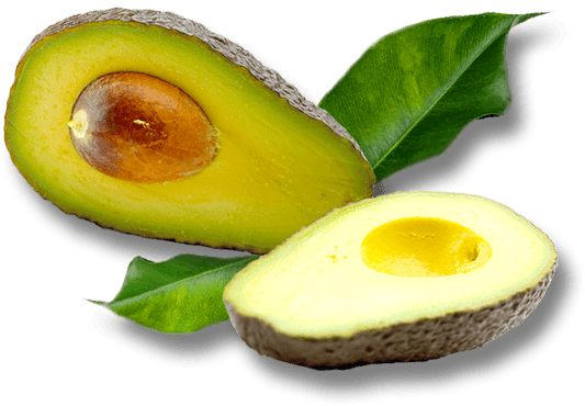 Bannerimage - Food (693x382), Png Download