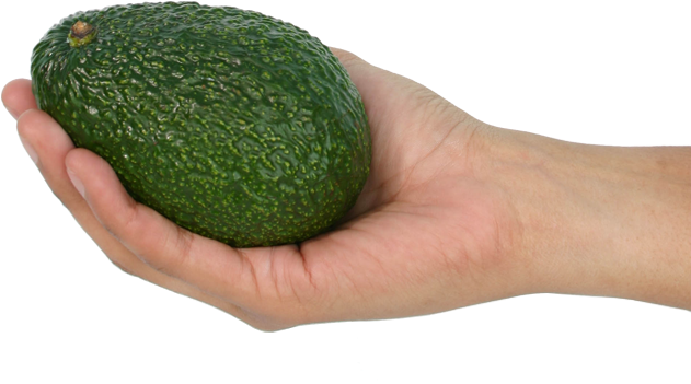 Anterior Siguiente - Avocado (652x405), Png Download