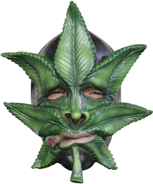 Weed Costume (600x600), Png Download