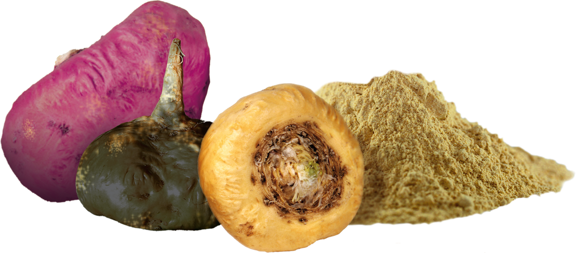 Black Maca Organic Raw Powder Is One Of The Top Superfoods - Raw Organic Yellow Maca Powder 1lb (1136x500), Png Download