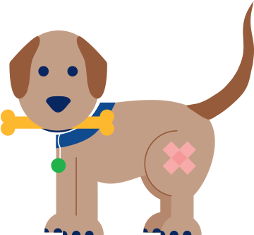 Labrador Retriever (380x337), Png Download