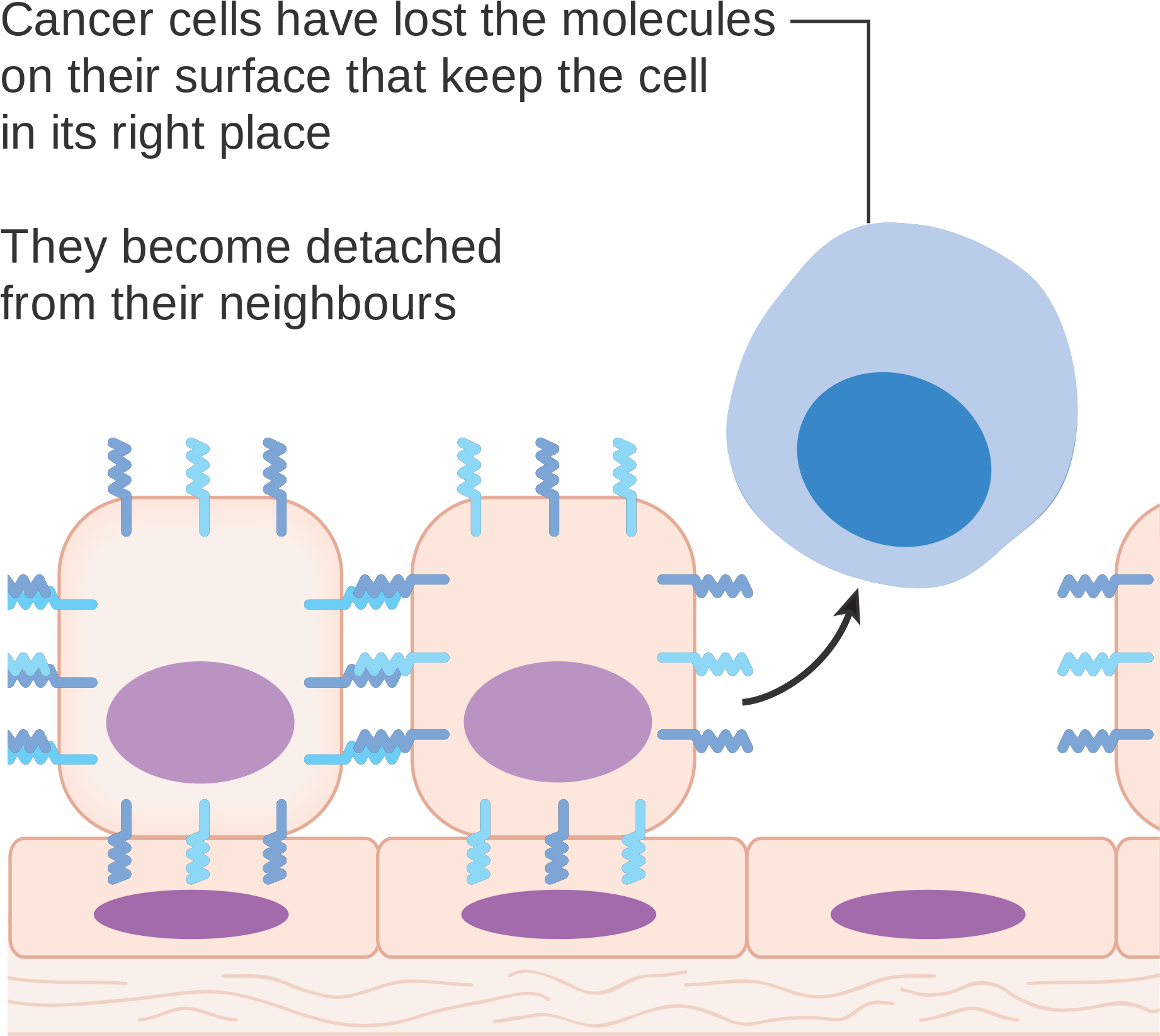 Open - Diagram Of Cancerous Cell (2000x1920), Png Download