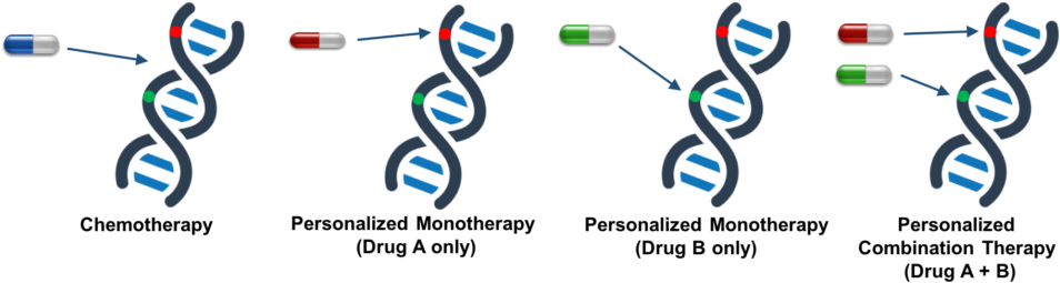 In Vitro Study Demonstrates The Benefit Of Personalized - Combination Therapy (1024x331), Png Download