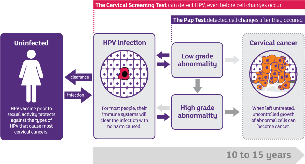 Progression Of Hpv To Cervical Cancer - Cosco Ada Restroom Signs, Men/women, 6" X 9" - 2 Pack (1200x660), Png Download