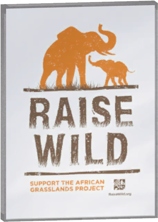 Glass Case Poster 6 - Indian Elephant (750x750), Png Download