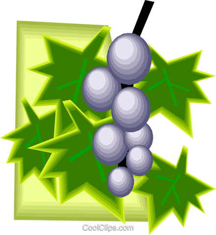 Grapes On The Vine, Fruits Royalty Free Vector Clip - Graphic Design (441x480), Png Download