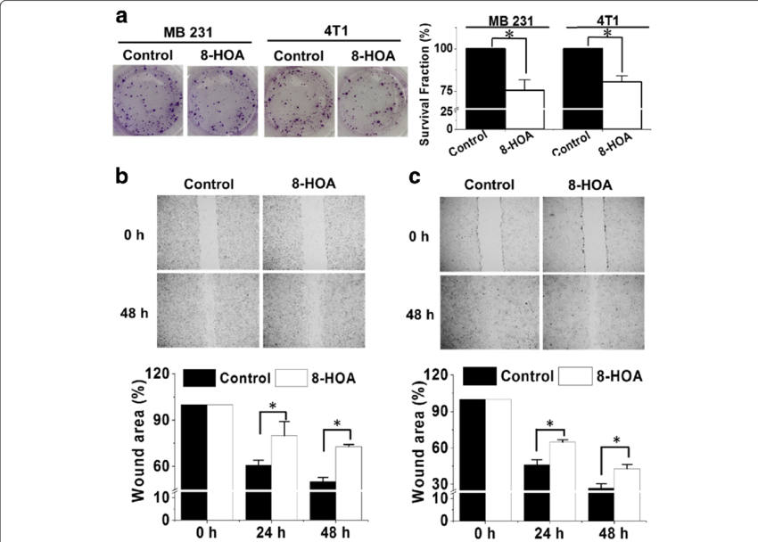 Hoa Inhibits Breast Cancer Cell Growth And Migration - Fig.1 (850x608), Png Download