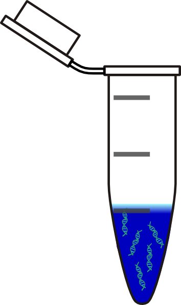Centrifuge Tube Dna Blue Svg Clip Arts 354 X 596 Px (354x596), Png Download
