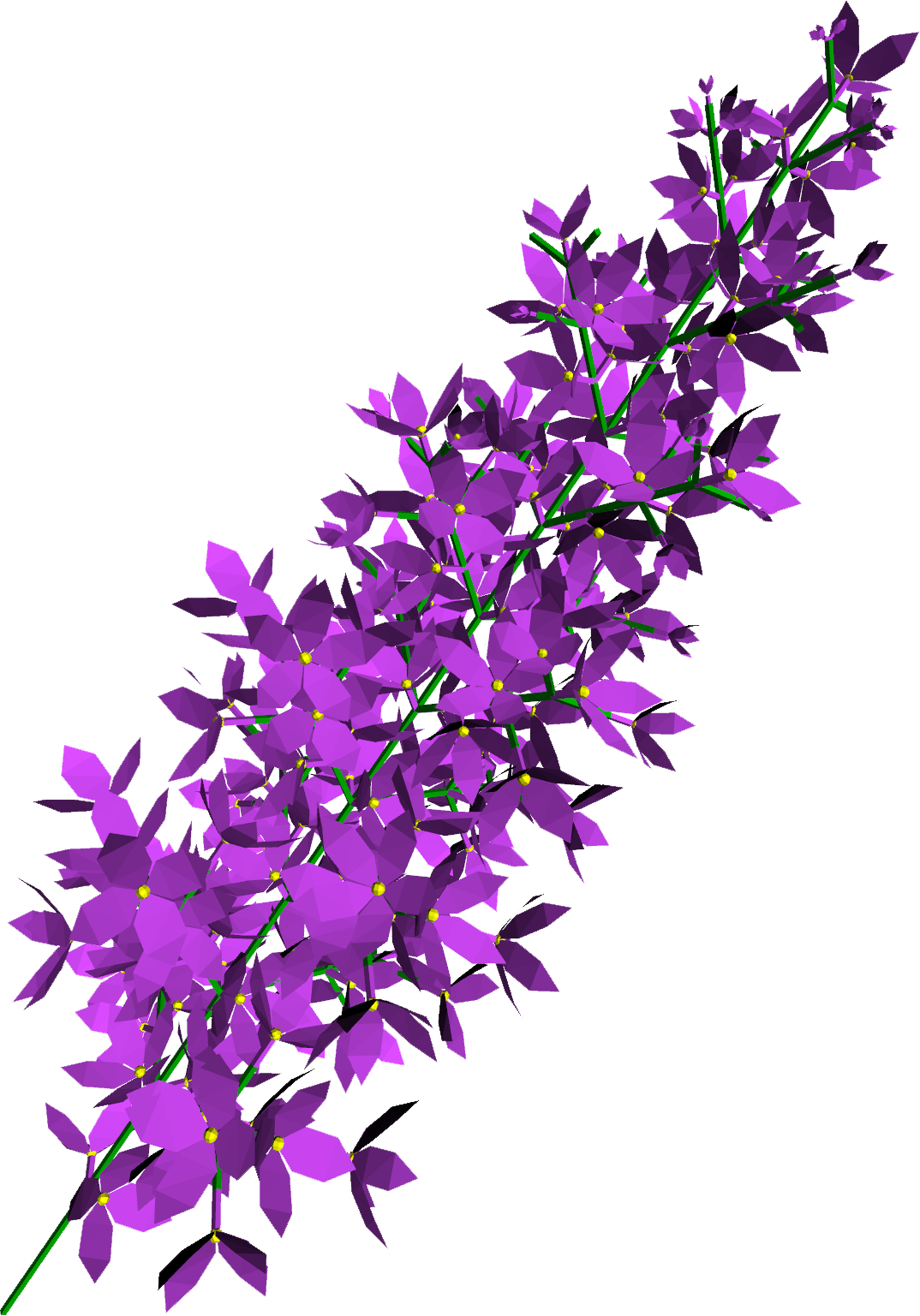 Lilac Flowers Sticker - Purple Flowers Branch Png (1074x1537), Png Download