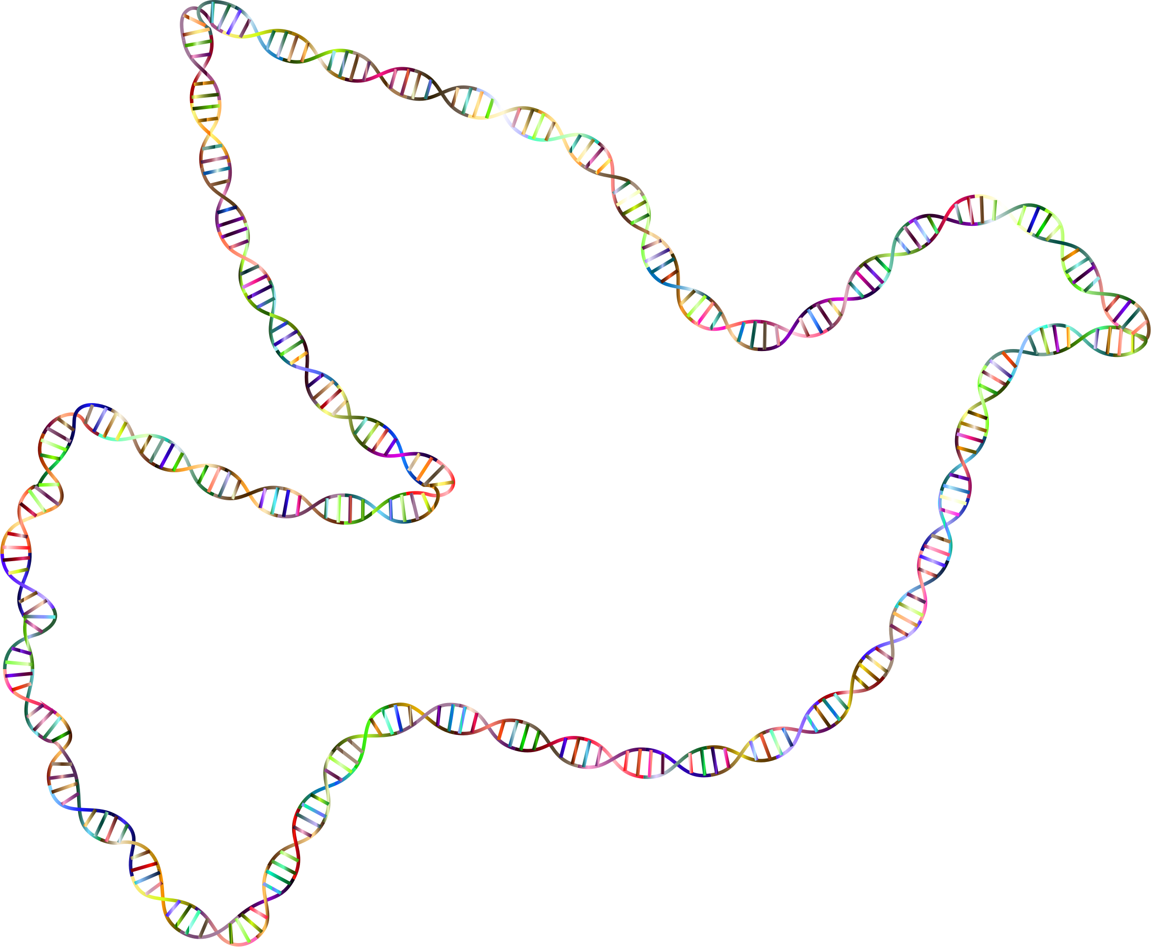 This Free Icons Png Design Of Chromatic Dna Helix Peace (2344x1929), Png Download