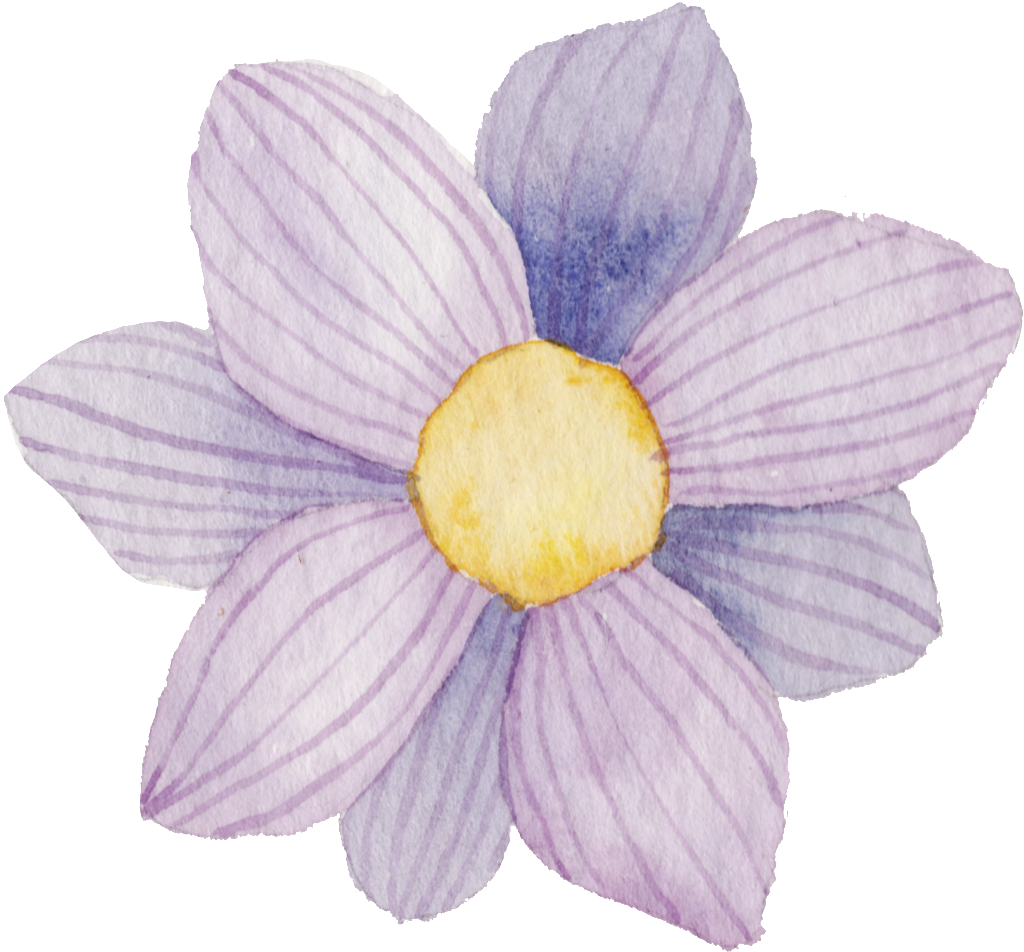 Hand-painted Lilac Flower Png Transparent - Flower (1024x952), Png Download
