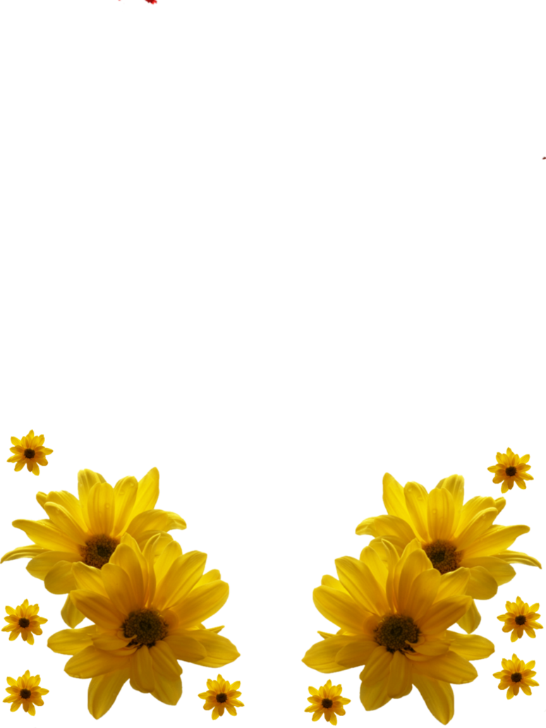 Flower Frame Png, Flowers, Gallery, Art, Birthday Wishes, - Flower Frames Images Png (774x1032), Png Download