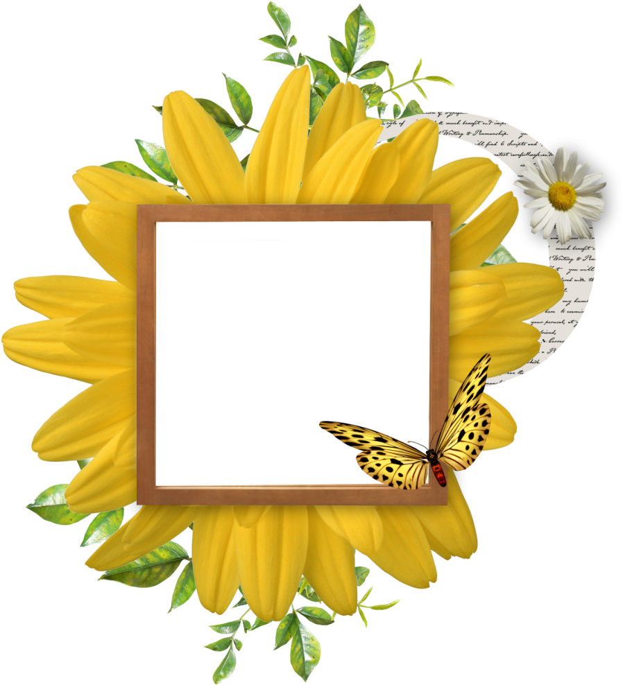 Ch - B *✿* - Клипарт Подсолнух На Прозрачном Фоне (926x1024), Png Download