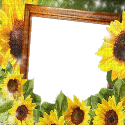Sunflower Autumn Frame Cadre Tournesol - Picmix (400x400), Png Download
