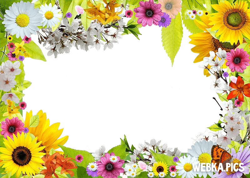 Download Flower Frames Clipart Picture Frames Flower (800x572), Png Download