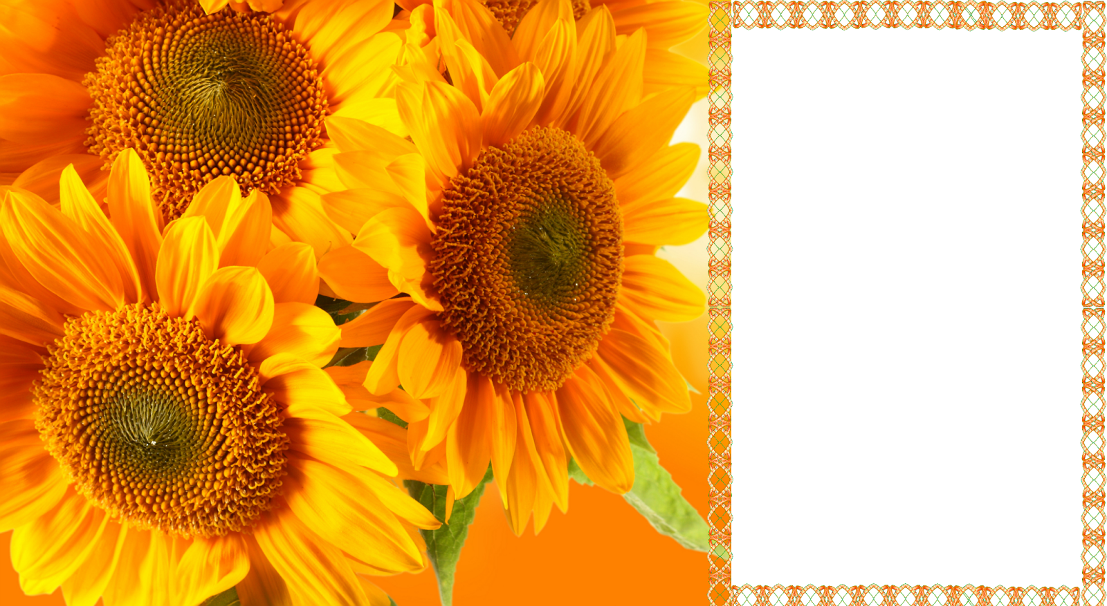 Hq Frames - Yellow Daisies Flowers At Sunset Cross Body Bag Large (1600x877), Png Download