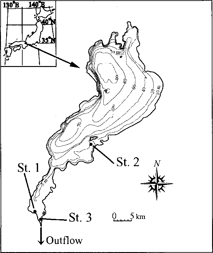 Location Of Sampling Stations In Lake Biwa - Microcystin (688x816), Png Download