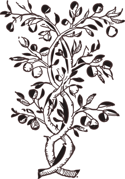 How To Set Use Flower Fruit Icon Png - Delfim Santos - Ineditos Pedagogicos (1932-1966) By (420x598), Png Download