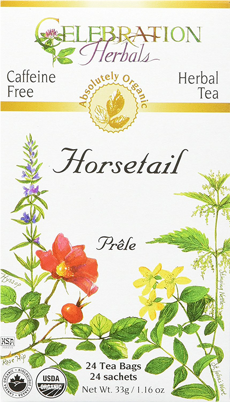 Horsetail Tea - Celebration Herbals Alfalfa Peppermint Tea 24 Tea Bags (800x800), Png Download