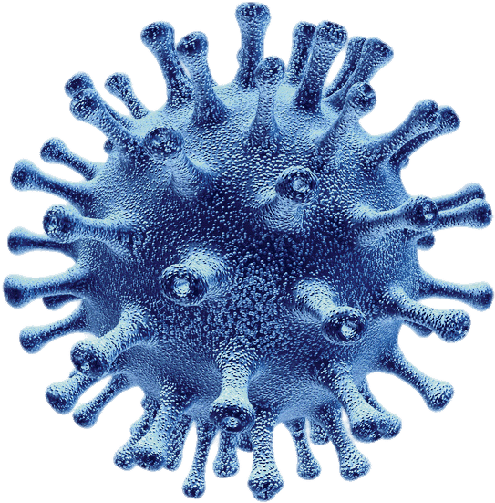 Download - Infectious Diseases E-book (542x693), Png Download