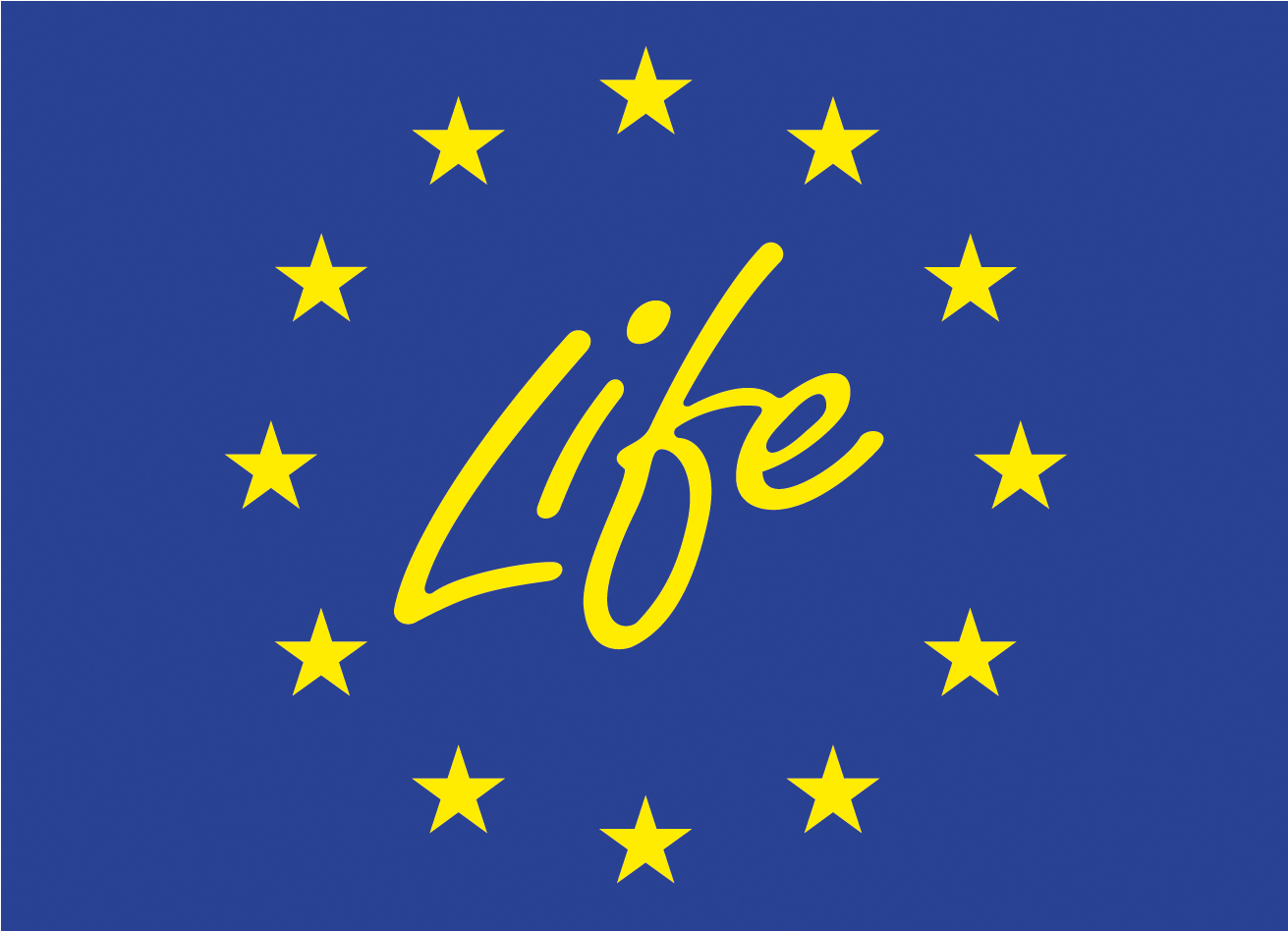 Visto Bueno Del Consejo De La Ue Al Reglamento Del - Life Programme (1310x1310), Png Download