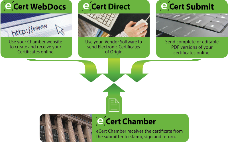 Ecertify Means Fewer Manual Processes, Fewer Errors - Export (800x500), Png Download