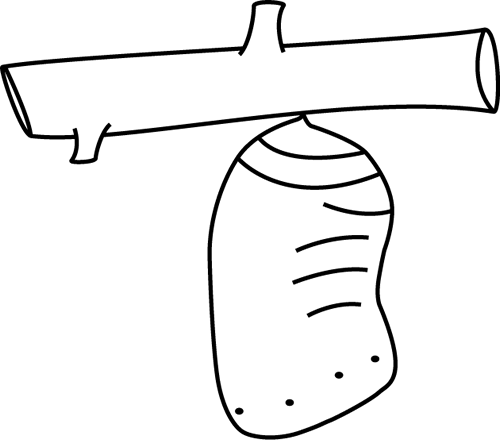 Black And White Butterfly Chrysalis - Black And White Cocoon Clipart (500x440), Png Download