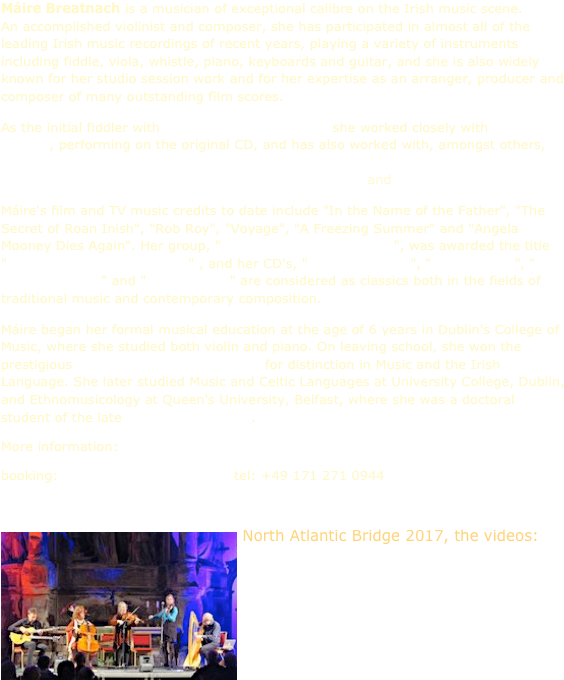 Sound File Youtube Press Release Photo1 Press Release - Violin (600x744), Png Download