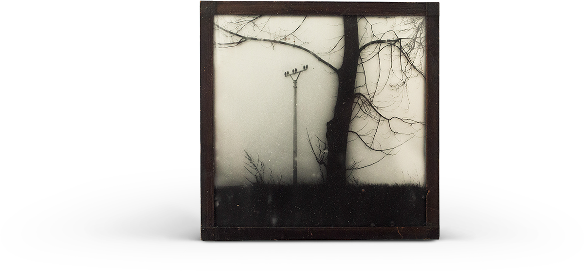 Picture Frame (1500x1000), Png Download