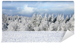 Wall Mural • Pixers® • We Live To Change - Winter (400x400), Png Download