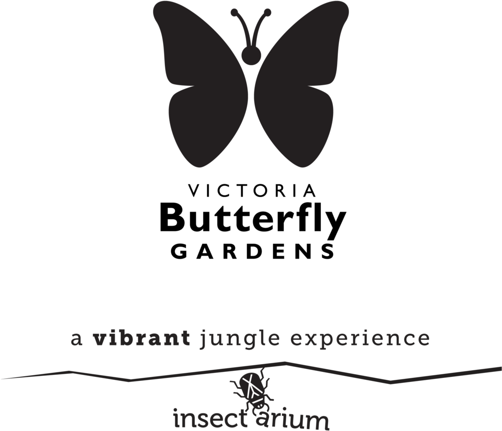 Vbg X Insectarium Logo Horizontal Bw - Victoria Butterfly Gardens (1000x962), Png Download