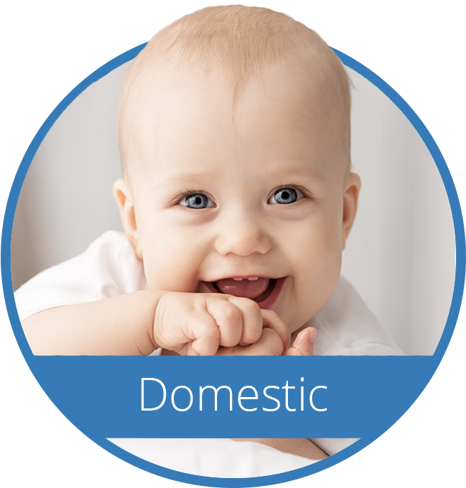 Domestic Adoptions - Love Baby Co 2 X Top Quality Fitted Crib Sheets Fit (800x800), Png Download