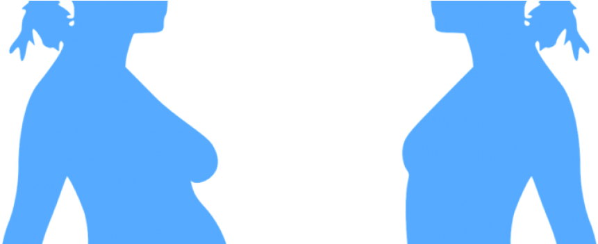 Surrogate Mother Loses Appeal To Keep A Child She Carried - Story Of Lizzy And Darcy: A 'pride And Prejudice' Adaptation (900x350), Png Download