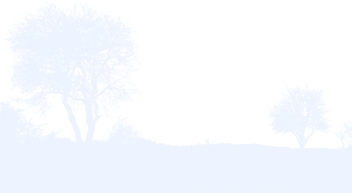 Landscape - Monochrome (1170x642), Png Download