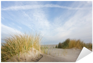 Grass (400x400), Png Download