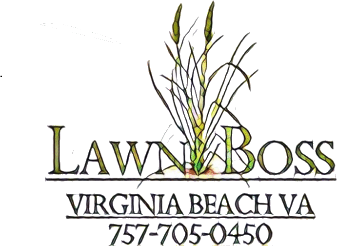 Grass (930x522), Png Download