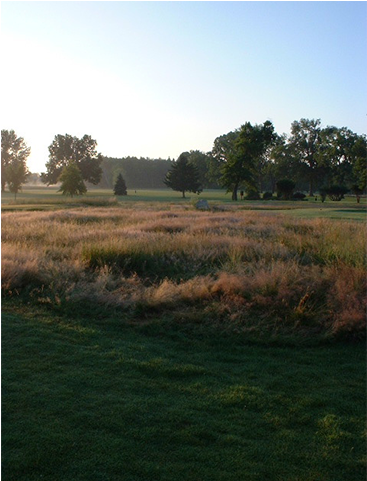 Oakland Beach Golf Course (640x480), Png Download