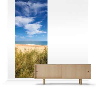 Accent Murals Of Marram Grass Dunes And Beach By Richard - Poster: Panoramic Images' Poster: Marram Grass, Dunes (384x353), Png Download