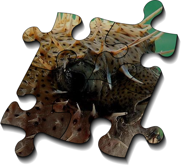 Any Network System With Buffering Shared Among Many - Router (606x556), Png Download