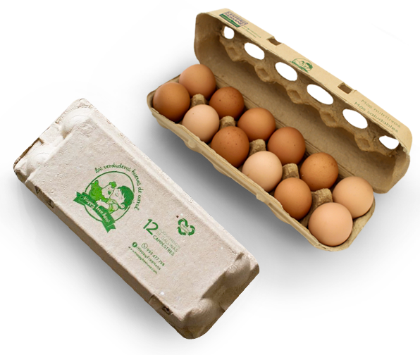 Full - Chicken (596x504), Png Download